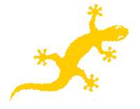 Gecko Drives