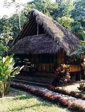 jungle hut