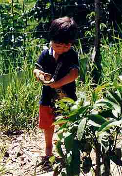 boy and his snake
