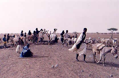 desert water well